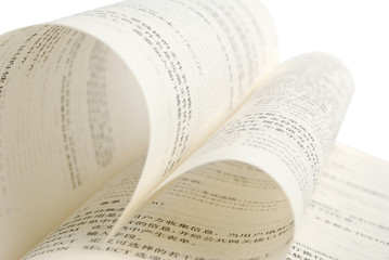 Fototapeta premium the book of love