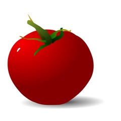 Tomato