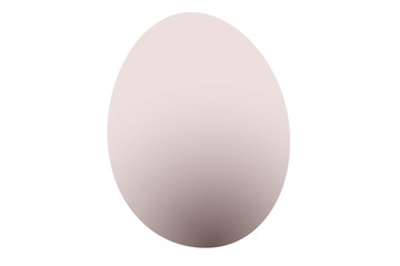 The image of egg under the white background