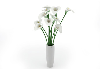 Fototapeta na wymiar White Vase and Calla Lily