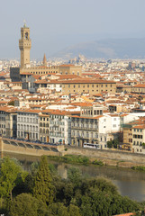 Fototapeta na wymiar landscape of historical center of Florence