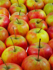 Apples, may be used as background