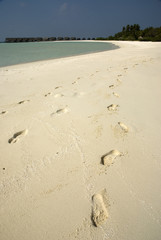 Footprints on the sand bank