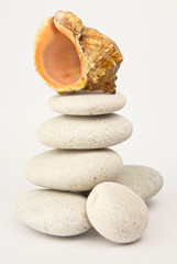 sea shell and sea stones over white