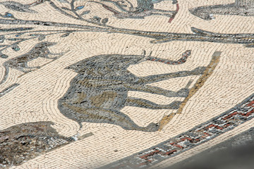 Elefantenmosaik in Volubilis, Marokko