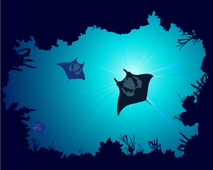 Background of a coral reef with manta ray