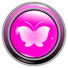 button butterfly on a white background vector eps10