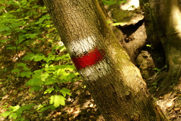 rote Markierung