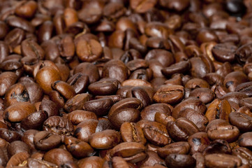coffee beans