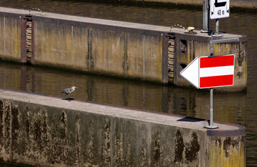 Graureiher in der Schleuse Mettlach