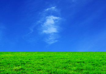 Fototapeta premium himmel_rasen