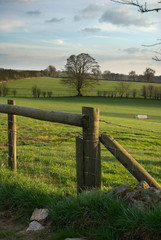 Countryside field landscape
