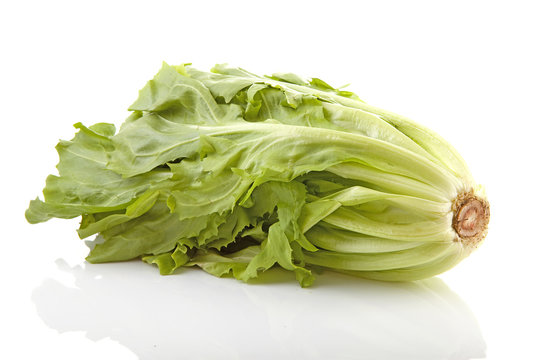 crop of fresh endive over white background