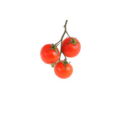 Isolated bunch of tomatoes