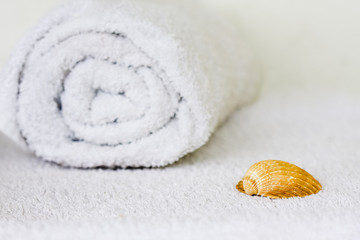 concepto de spa