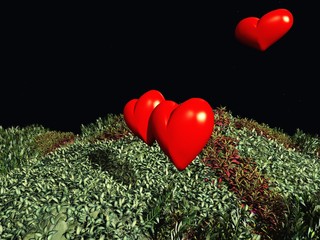 Herzen am Grashügel