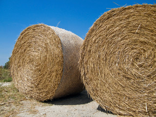 Rolling haystack.