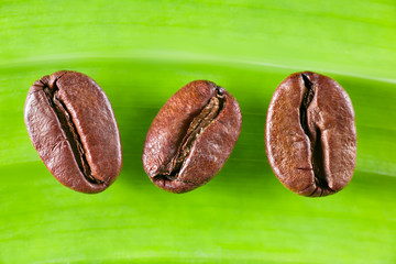 3 Grains de Café