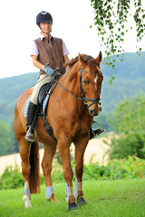 Obraz premium Pferde 115