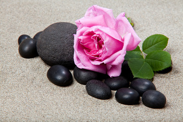 Fototapeta na wymiar Ambiance zen - rose et pierres noires