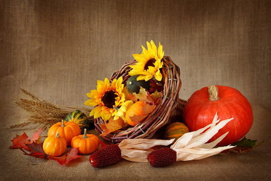 Cornucopia with pumpkins on brown background