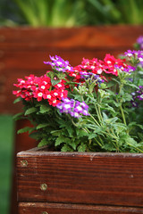 Flowers on vintage wooden boxes