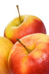 apples on white background