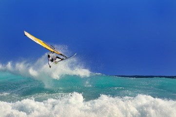 Windsurfeur.