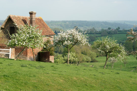 Paysage campagne 14