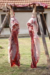 Pig halves hanging in a backyard