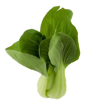 Pak Choi with hand made clipping path