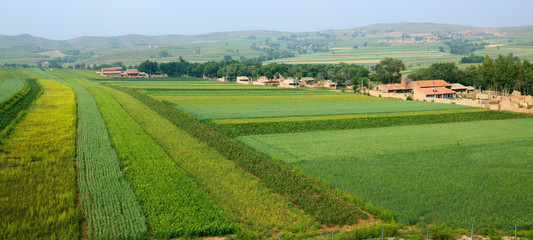 inner mongolia: village and farmland © mamahoohooba