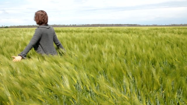promenade dans les bl&eacute;s