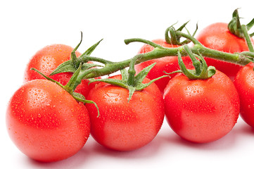 Frische Tomaten