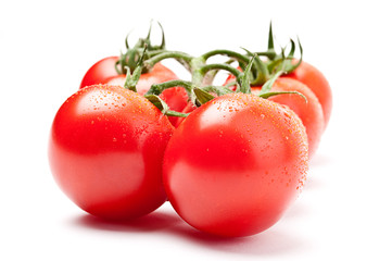 Frische Tomaten