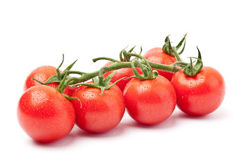 Frische Tomaten