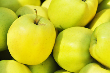 Apfel