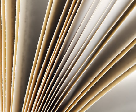 Pages of a book