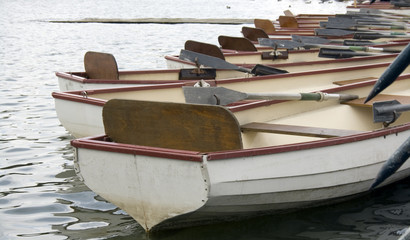 Row Boats palace of versailles