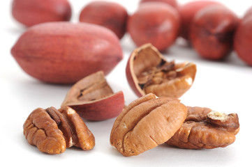Pecan
