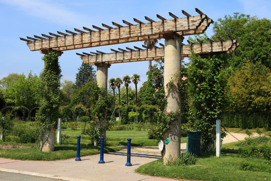 Roseraie du parc Borely &agrave; Marseille