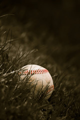 Old Baseball in the Grass