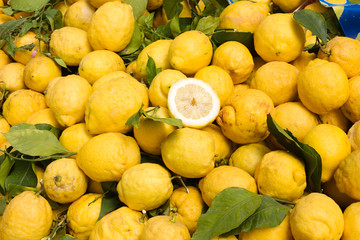 sicilian citron