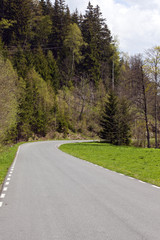 Highway in the forest. South Poland