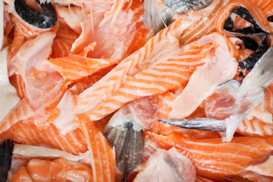 fischreste