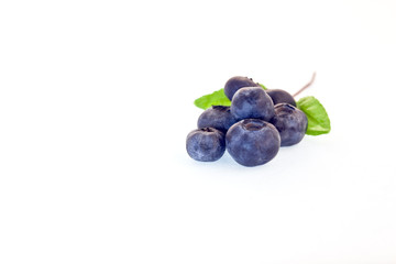 Blueberries