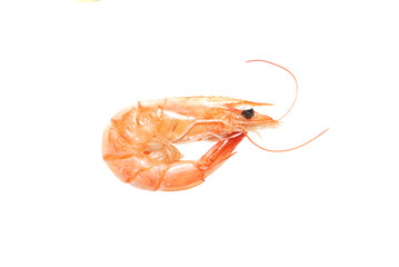 boiled shrimp