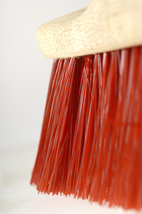 Rote Borsten