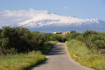 Rural Road And Volcano Etna