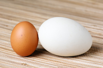 Goose egg and egg